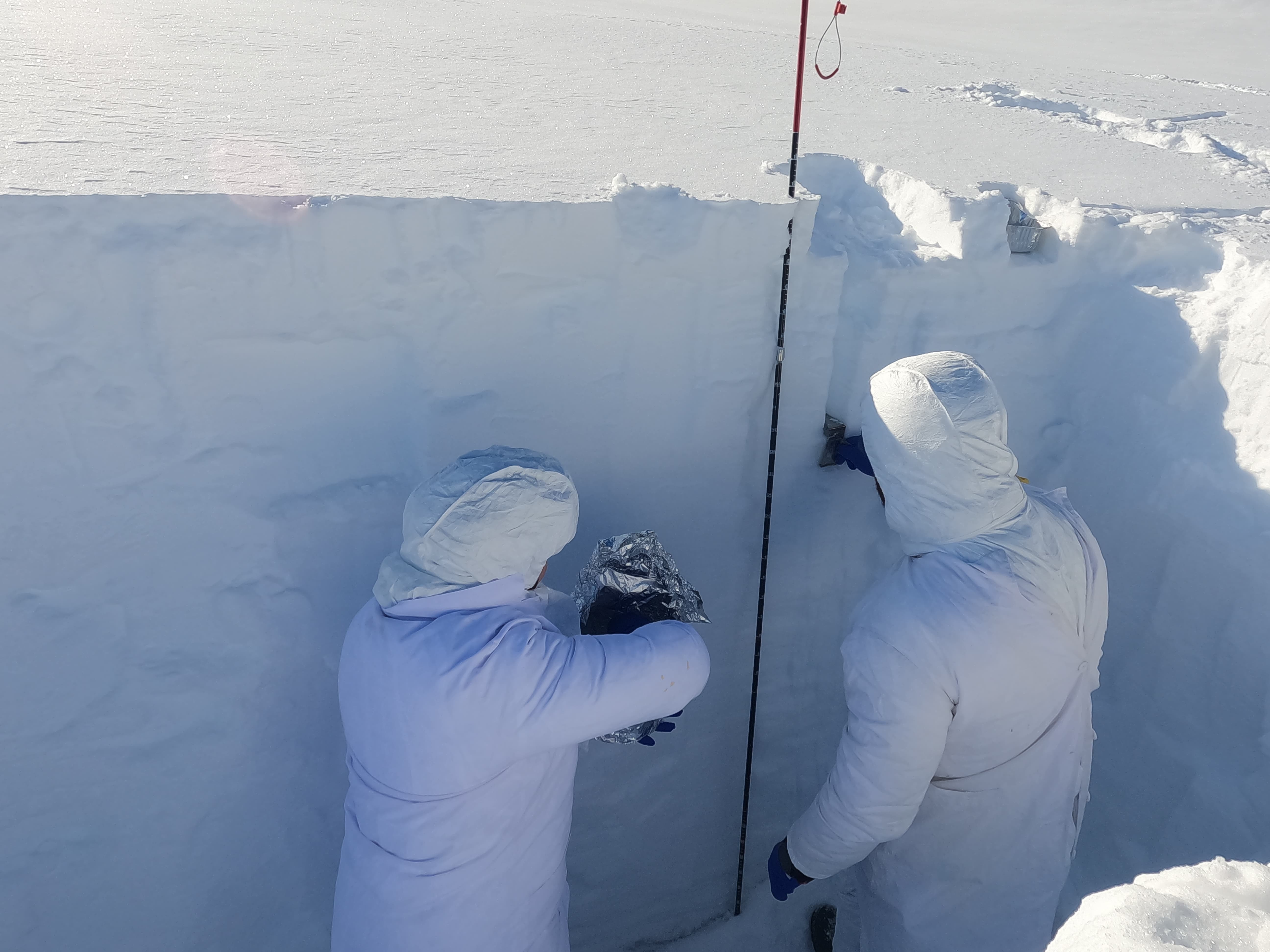 Two researchers in white overalls taking samples from a snow pit's wall.